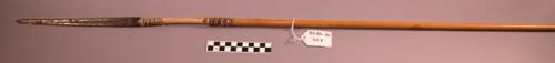 Arrow with wild cane shaft, wooden foreshaft, and long steel point