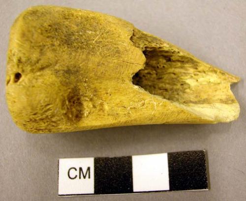 Fragment of bone implement