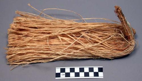 Girl's tail of chewed fibre