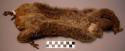 Skin bag - lemur, "perodictitus potto" ("kunda")