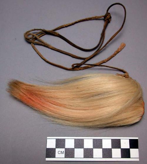 Goat hair beard - part of medicine man's costume