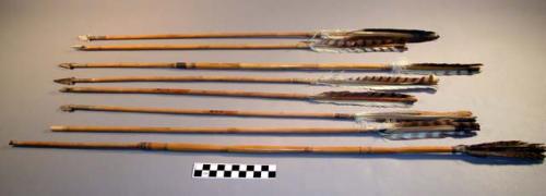 Flint pointed arrows