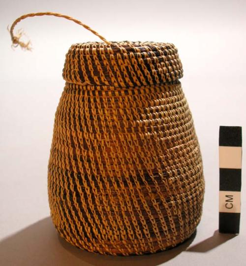 Basket w/lid; coiled dk & nat. veg. fiber; convex base; tapered body