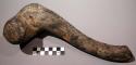 Unclassified tool; modified stick or root w/club-like head;& curving handle