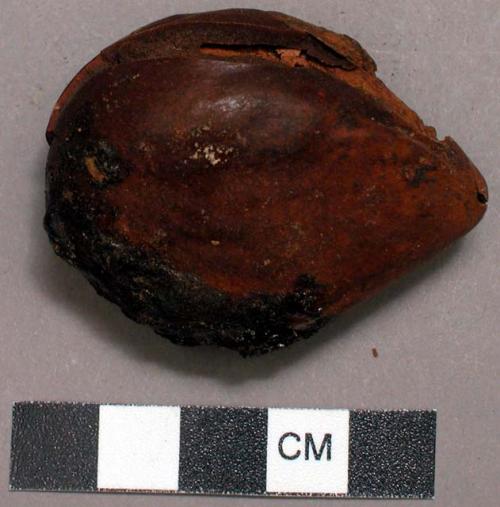 Unpolished dark brown nut