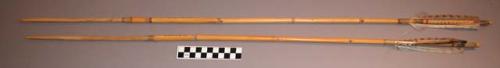 Arrow for small game - feather-tipped bamboo with wooden point