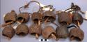 12 goats' coconut bells, with wooden flappers and leather of fiber string for at