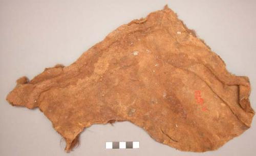 Piece of buffalo hide