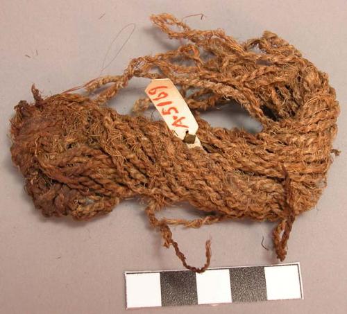 Fragment of carrying strap