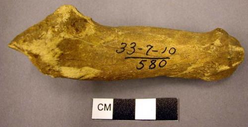 Worked bone fragment