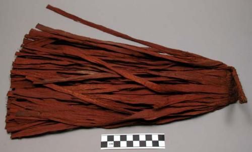 Woman's tail of strips of chewed fibre