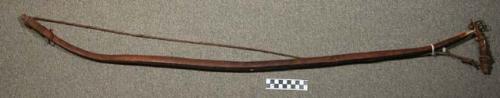 Wooden bow with leather cord, the inside eaten by boring beetles. Wuta