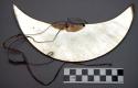 "moon crescent" pectoral (dafe) made of giant clam shell, may be +
