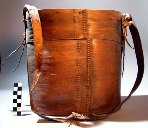 Bark box with carrying strap