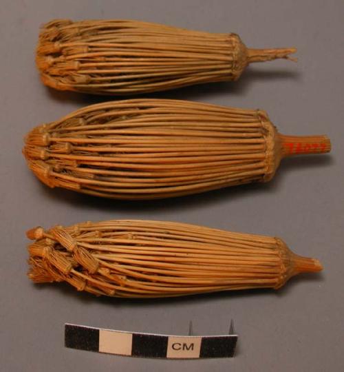 Fennel from Olympus (greek tooth picks)