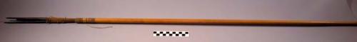 Cane arrow with 3 prongs inset (of chonta palm) used for fishing