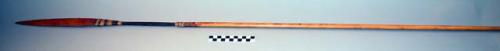 Cane arrow with chonta palm inset & attached blade-like point made of +