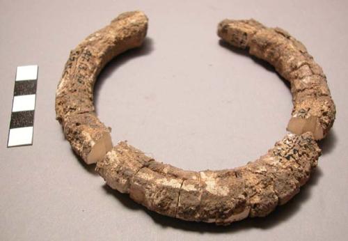 Ivory bracelet found in position at arm bone