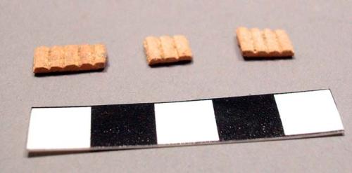 Bone fragments, worked