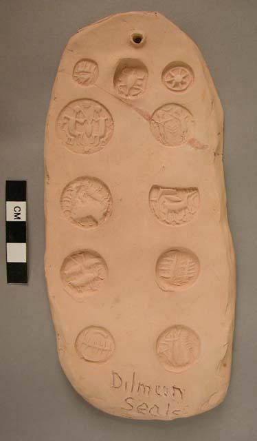 Plaster cast; impressions of seals.