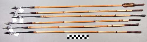 Iron tipped reed arrows