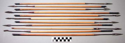 Eleven reed arrows with metal arrow heads.