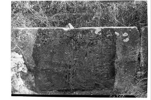 Under face of sculptured stone lintel