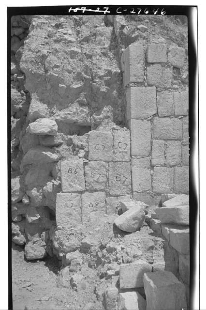 Temple of Wall Panels during excavation