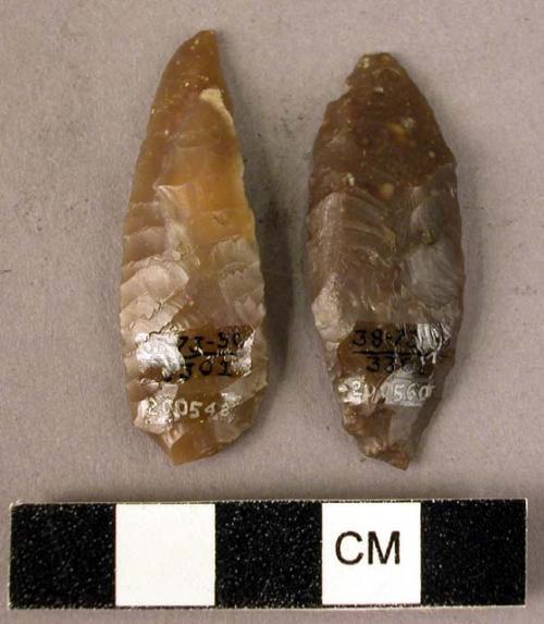 Leaf-shaped points retouched on the upper surface only, possibly used as arrowhe