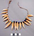 Tiger tooth necklace