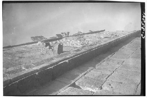 Serpent Cornices. Serpent head on back side of N. House, Monjas Quadrangle.