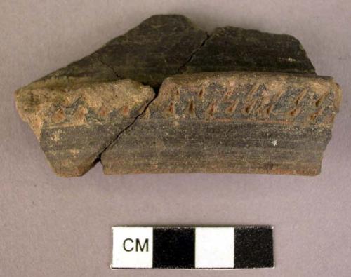 Black ware rim sherd - double row of small incised marks on outward bulge below