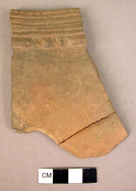 Red-brown rim potsherd - horizontally incised lines around lip