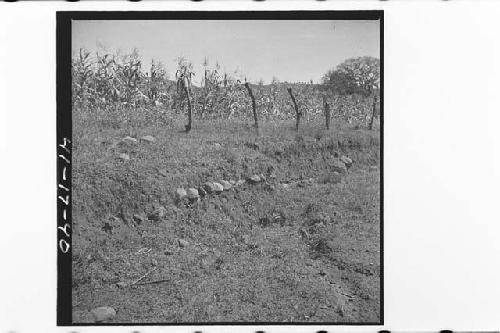 Site of El Ranchito, Stone floor about 10 cm below surface.