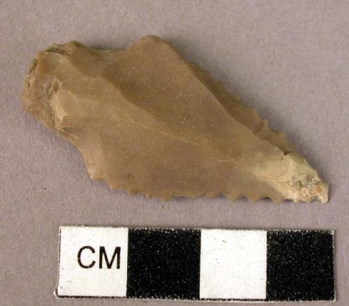 Chipped flint implement