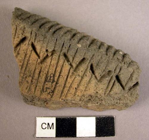 Potsherd, rim