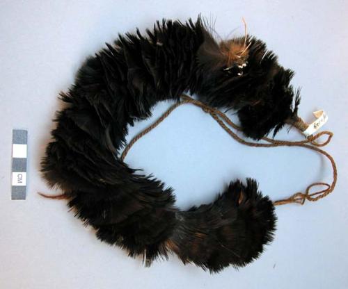 Necklace of small black feathers