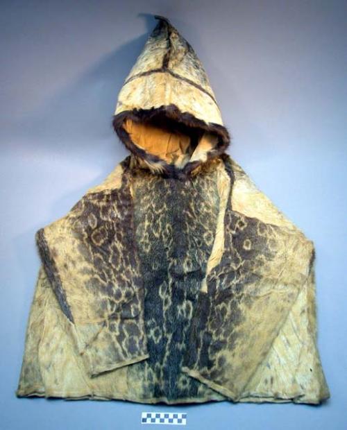 Seal skin coat