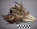 Bundle of feathers with string attached