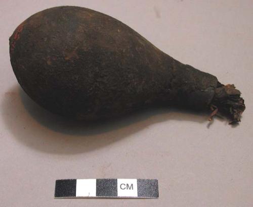 Gourd with fragment of cord