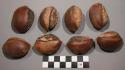 Nuts of Mimusops djave tree