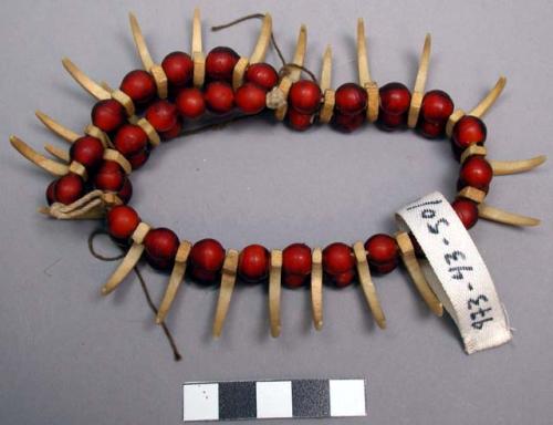 Two strand brownish orange bead necklace, bone carved claws, +