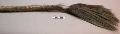 Dusting brush - tail of forest buffalo