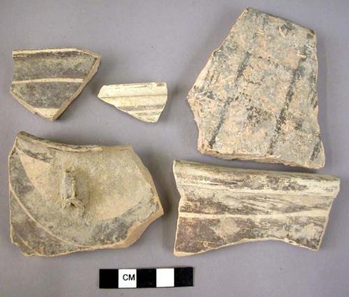 7 rim potsherds