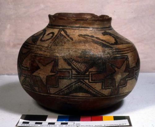 Jar, polacca polychrome style b. linear design.