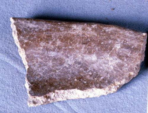 1 rim sherd, Comals II