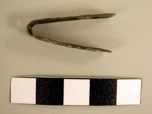 Fragment of small silver tweezers