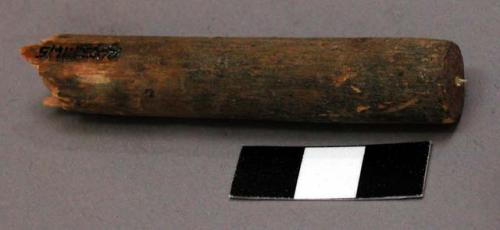 Worked stick, broken, cylindrical, traces of pigment, feather fragment inserted