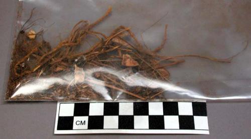 Vegetable fiber, twisted fiber cord, gourd, and organic material fragments