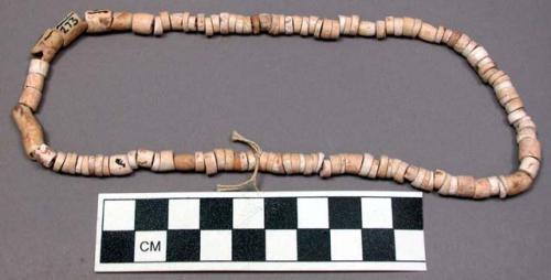 String of shell beads